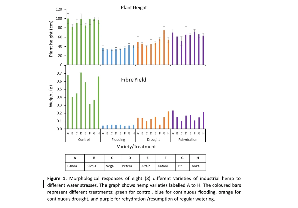 Understanding Biostimulant Growth: How Our Products Accelerate Plant Development